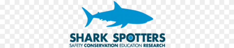 Shark Spotters Logo, Animal, Fish, Sea Life, Tuna Png