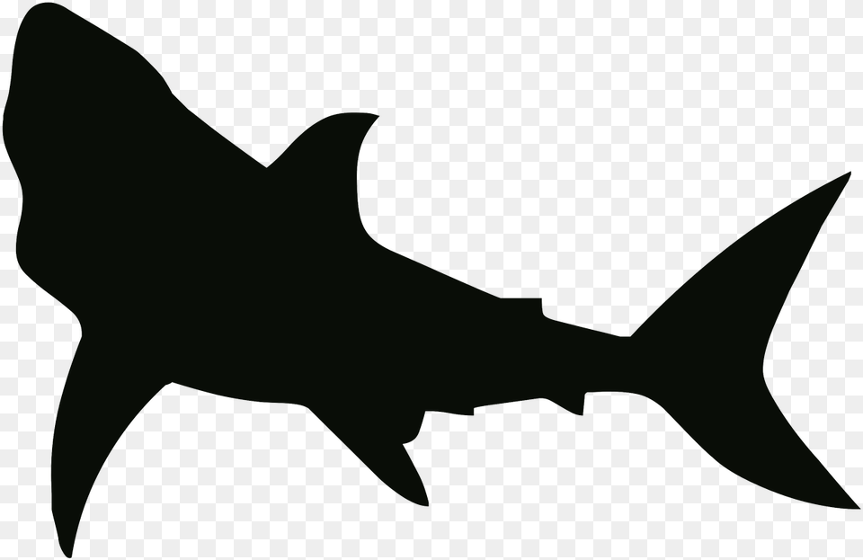 Shark Stencil, Animal, Fish, Sea Life Free Png Download