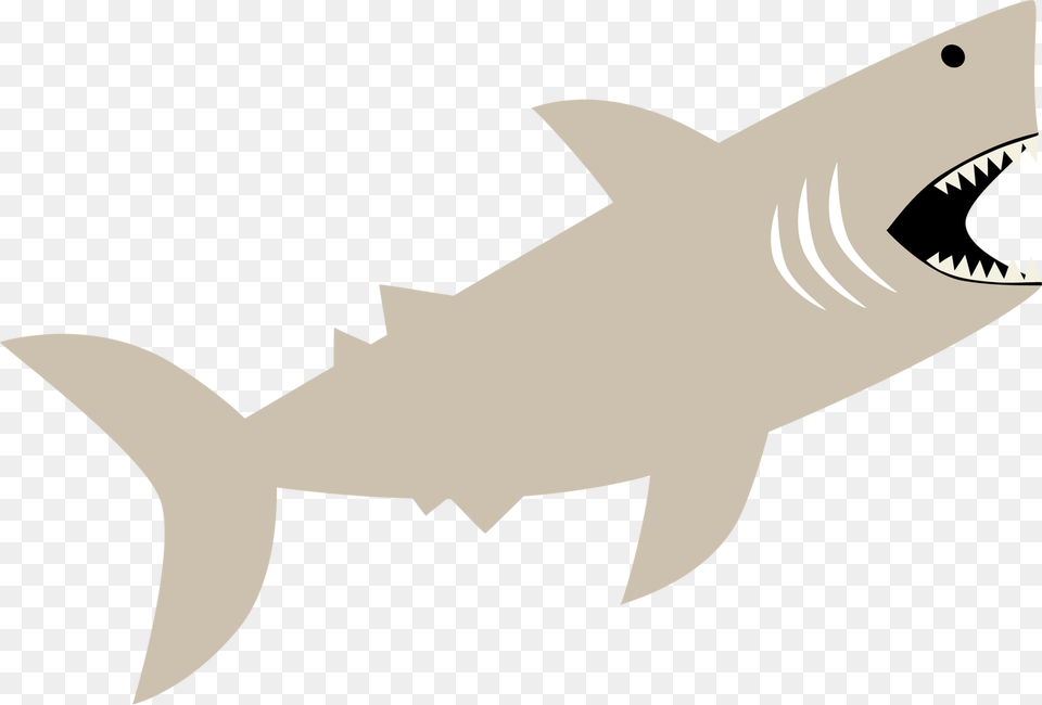 Shark Svg Cut File Shark Svg Animal, Fish, Sea Life, Great White Shark Free Png