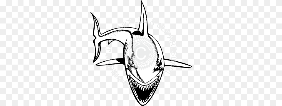 Shark Swimming Forward Black And White, Animal, Sea Life, Fish Png