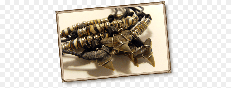 Shark Teeth Necklaces Venice, Accessories, Jewelry, Earring, Electronics Free Transparent Png