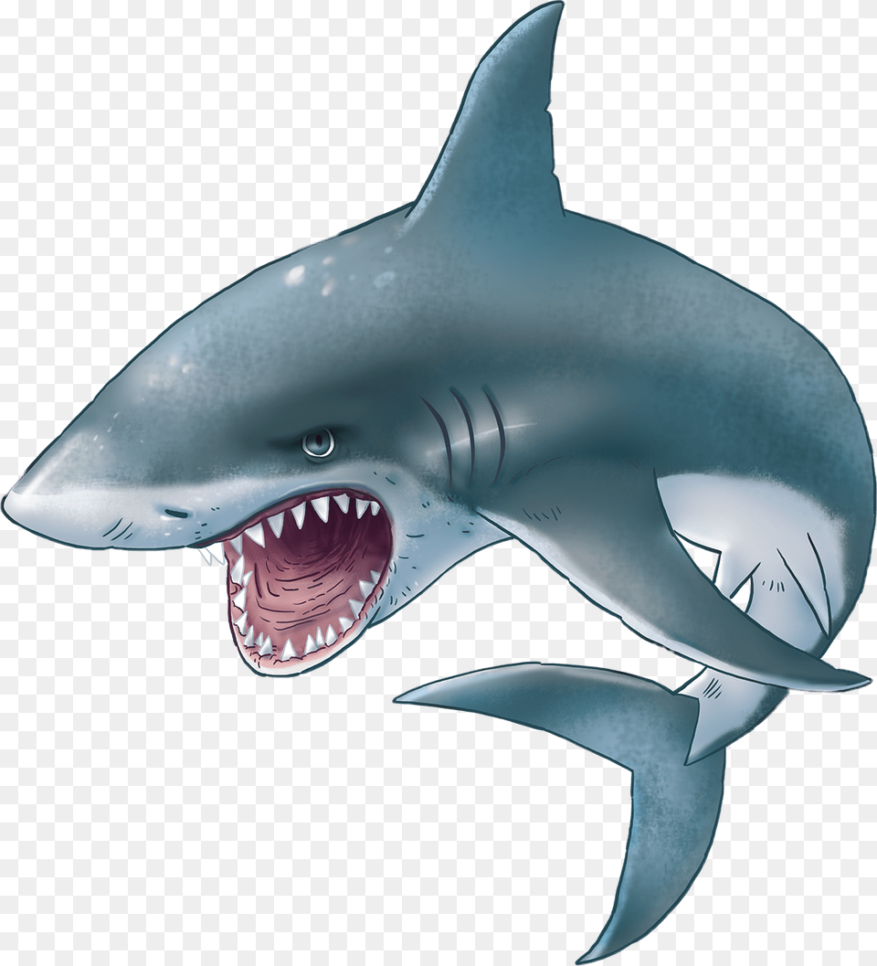 Shark Teeth Scary Water Animal Sharks Evil Freetoedit, Sea Life, Fish Png