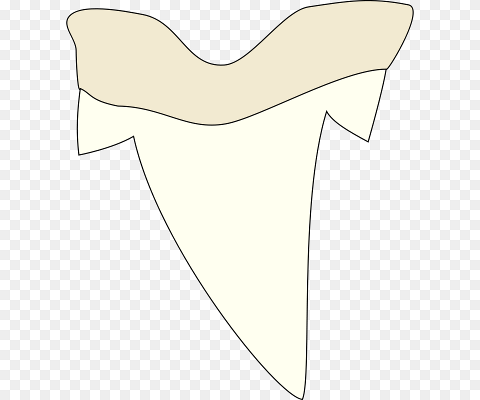 Shark Tooth, Accessories, Formal Wear, Tie, Bow Tie Png