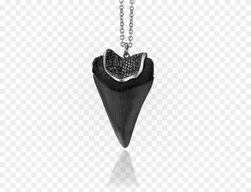 Shark Tooth Black Locket, Accessories, Weapon, Arrow, Arrowhead Free Transparent Png