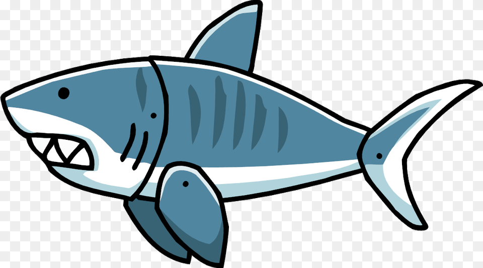 Shark Transparent, Animal, Fish, Sea Life, Great White Shark Png