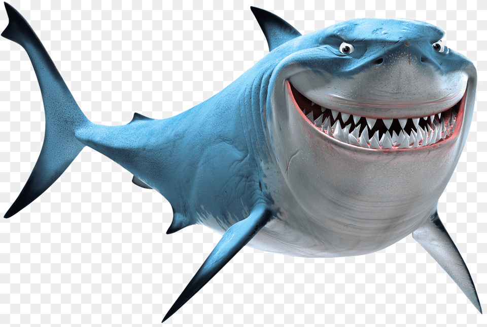 Shark Transparent Shark From Finding Nemo, Animal, Fish, Sea Life, Blade Free Png Download