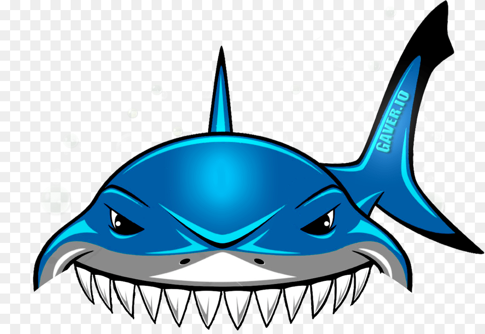 Shark Vector Graphics, Animal, Sea Life, Fish, Baby Png Image