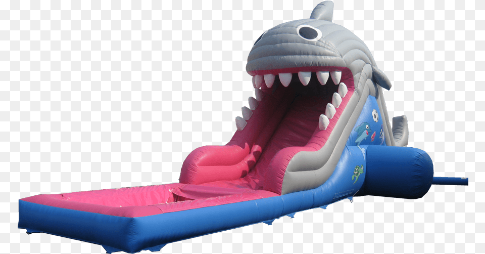 Shark Water Slide Inflatable Obstacle Malaysia Free Png