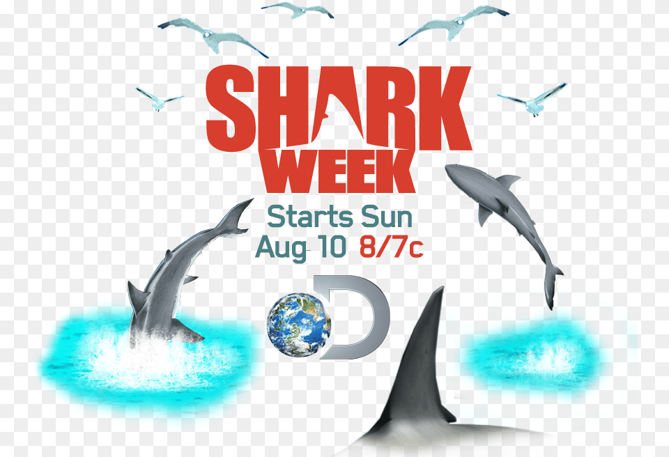 Shark Week Swedish Fish Sweepstakes Discovery Go Shark Week Logo Font, Animal, Bird, Sea Life, Dolphin Free Png Download