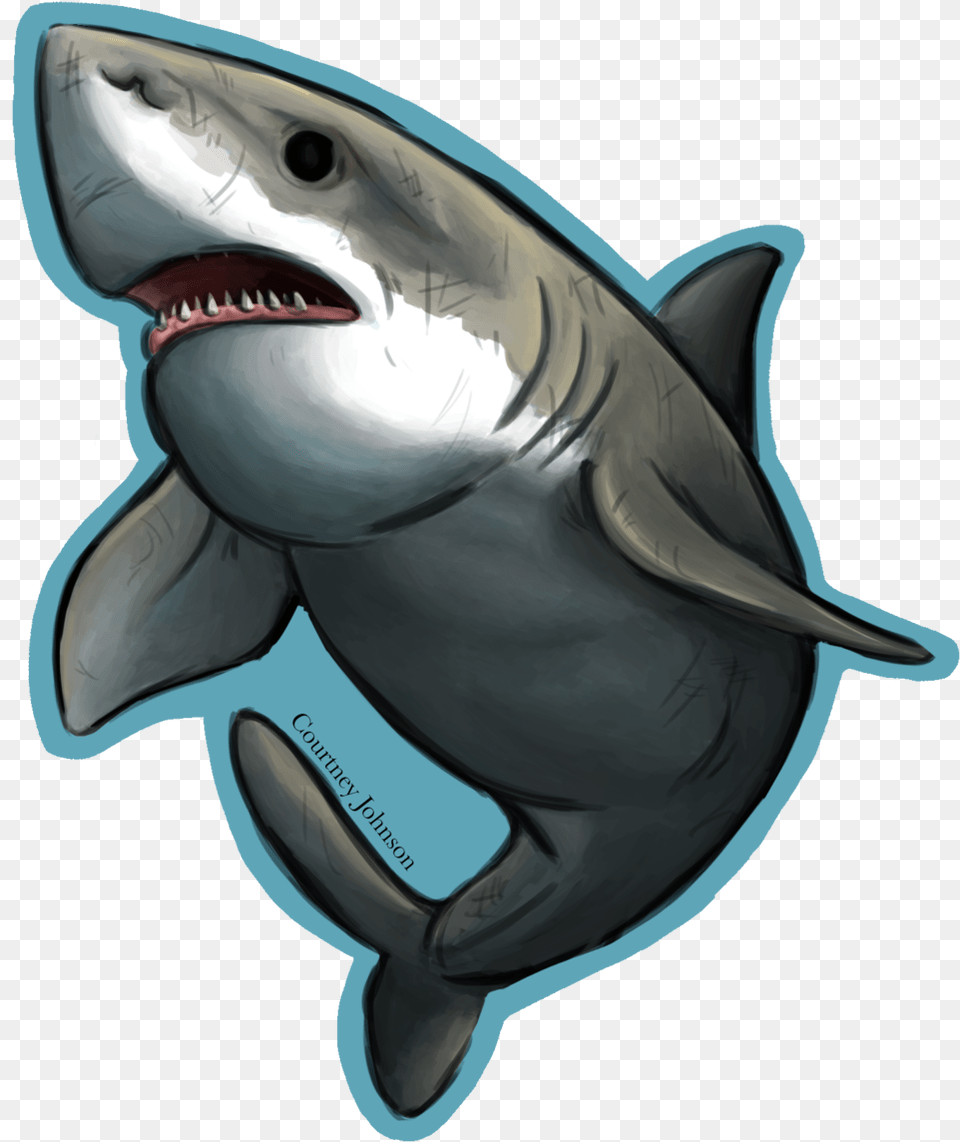 Shark Week The Tiger Shark, Animal, Sea Life, Fish Png Image