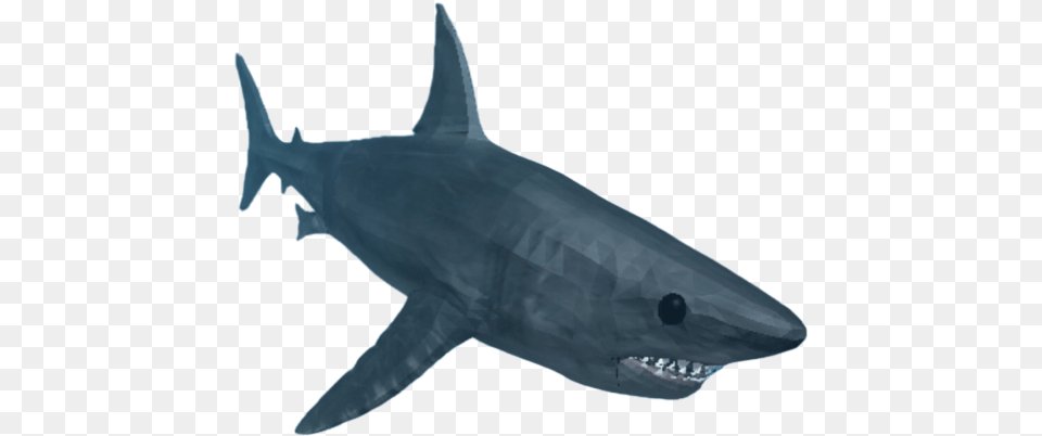 Shark Whatever Floats Your Boat Roblox Shark, Animal, Fish, Sea Life, Great White Shark Free Png Download