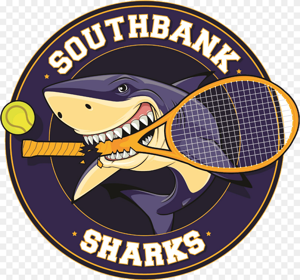 Sharks, Racket, Sport, Tennis, Tennis Racket Free Png Download