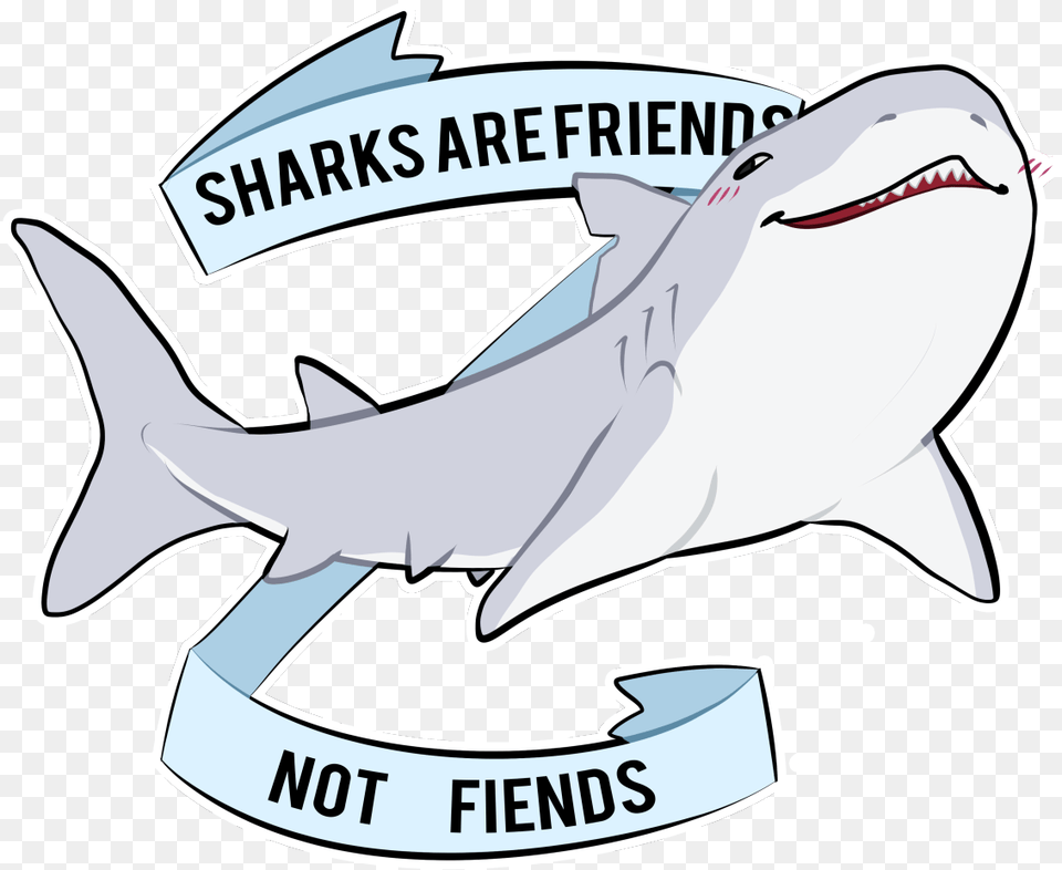 Sharks Are Friends Not Fiends, Animal, Fish, Sea Life, Shark Free Png Download