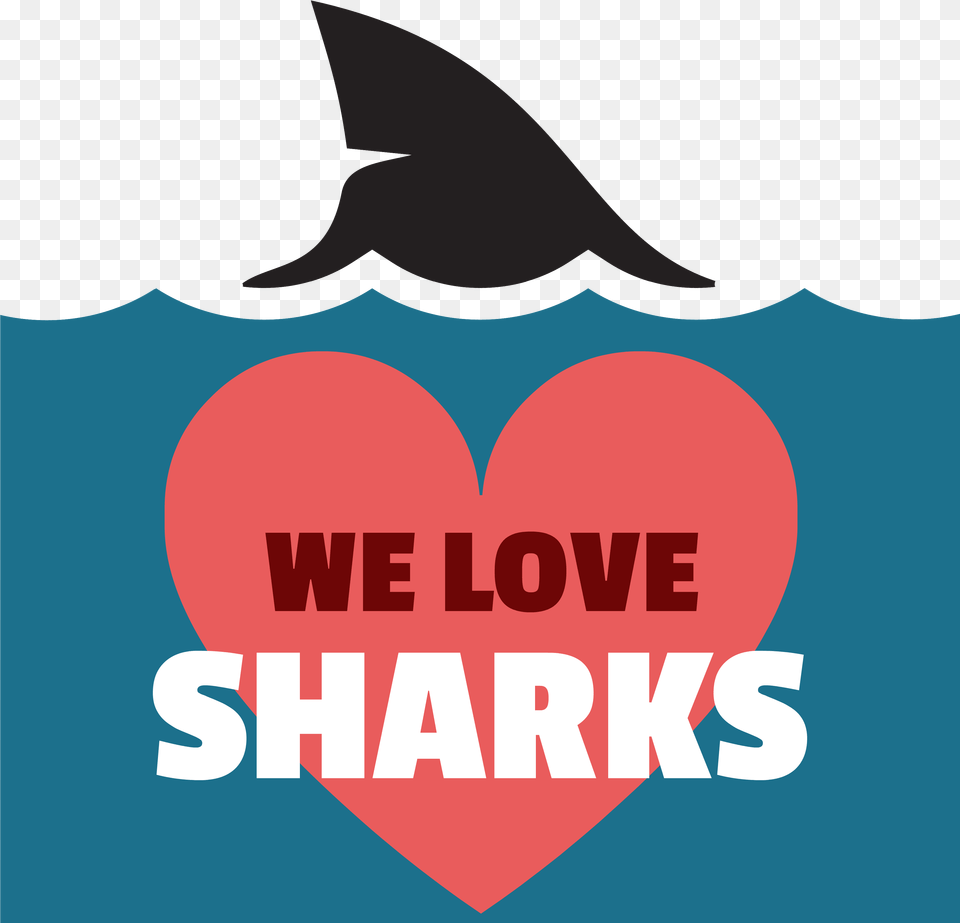 Sharks Logo, Animal, Fish, Sea Life, Shark Png Image