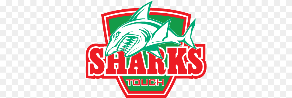 Sharks Touch Club Sharks Touch Toowoomba, Animal, Sea Life, Fish, Dynamite Png Image
