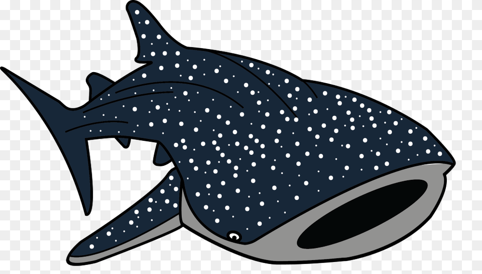 Sharkwhale Clipart, Animal, Sea Life, Fish, Shark Png Image