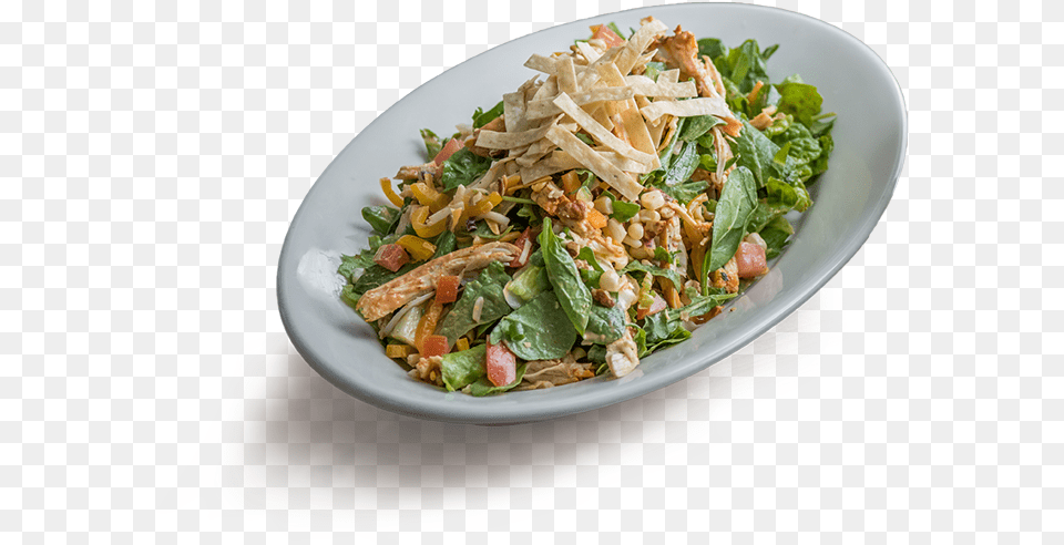 Sharkys Bbq Chicken Salad, Food, Food Presentation, Plate Png Image