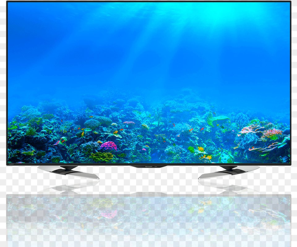 Sharp Led Tv Ocean With Coral Reef, Animal, Sea Life, Sea, Outdoors Free Png Download
