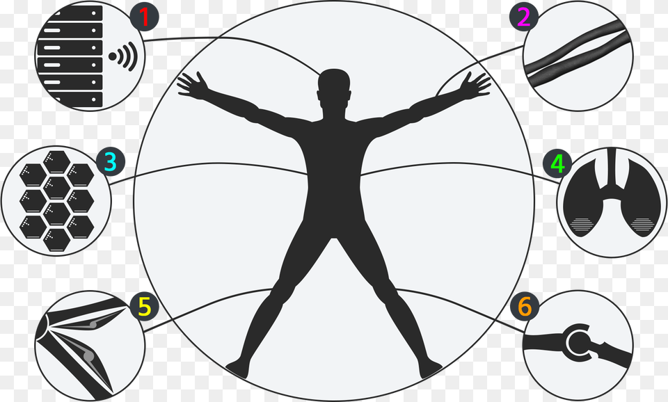 Sharpie S Body Structure Vitruvian Man Modern One Man, Adult, Male, Person, Head Png