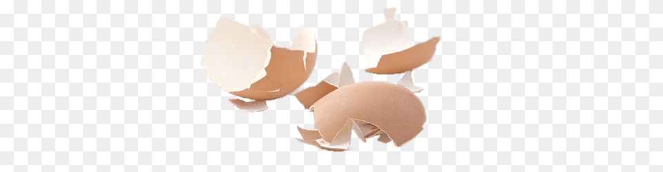 Shattered Eggshell, Egg, Food, Baby, Person Png Image