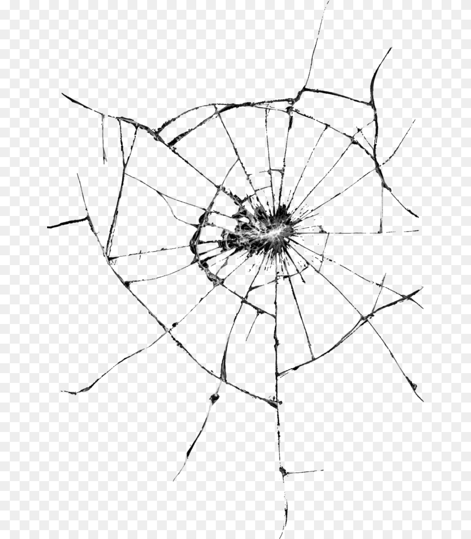 Shattered Glass Effect Broken Glass Effect, Spider Web, Animal, Invertebrate, Spider Png Image
