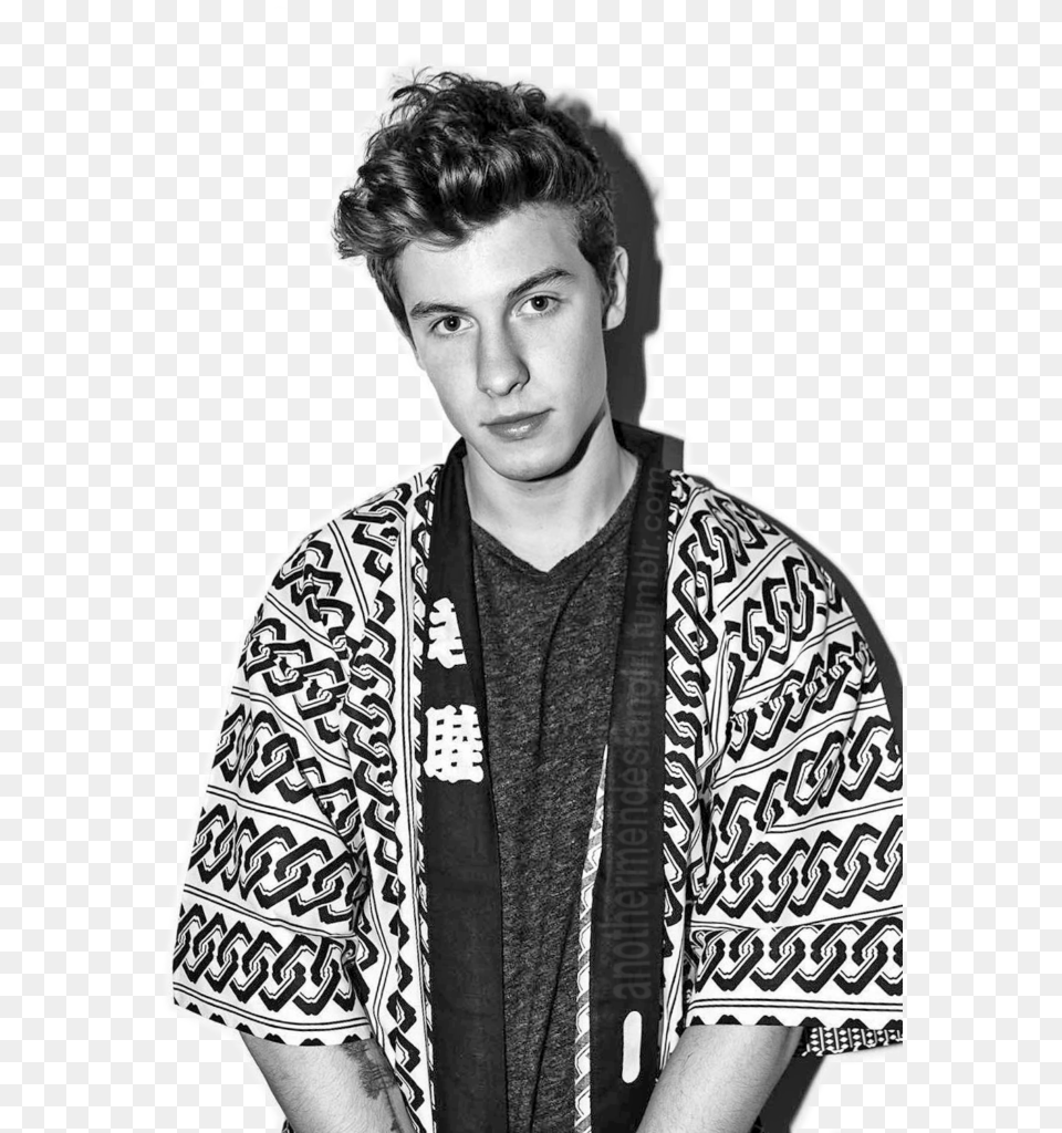 Shawn Mendes, Adult, Portrait, Photography, Person Free Png Download
