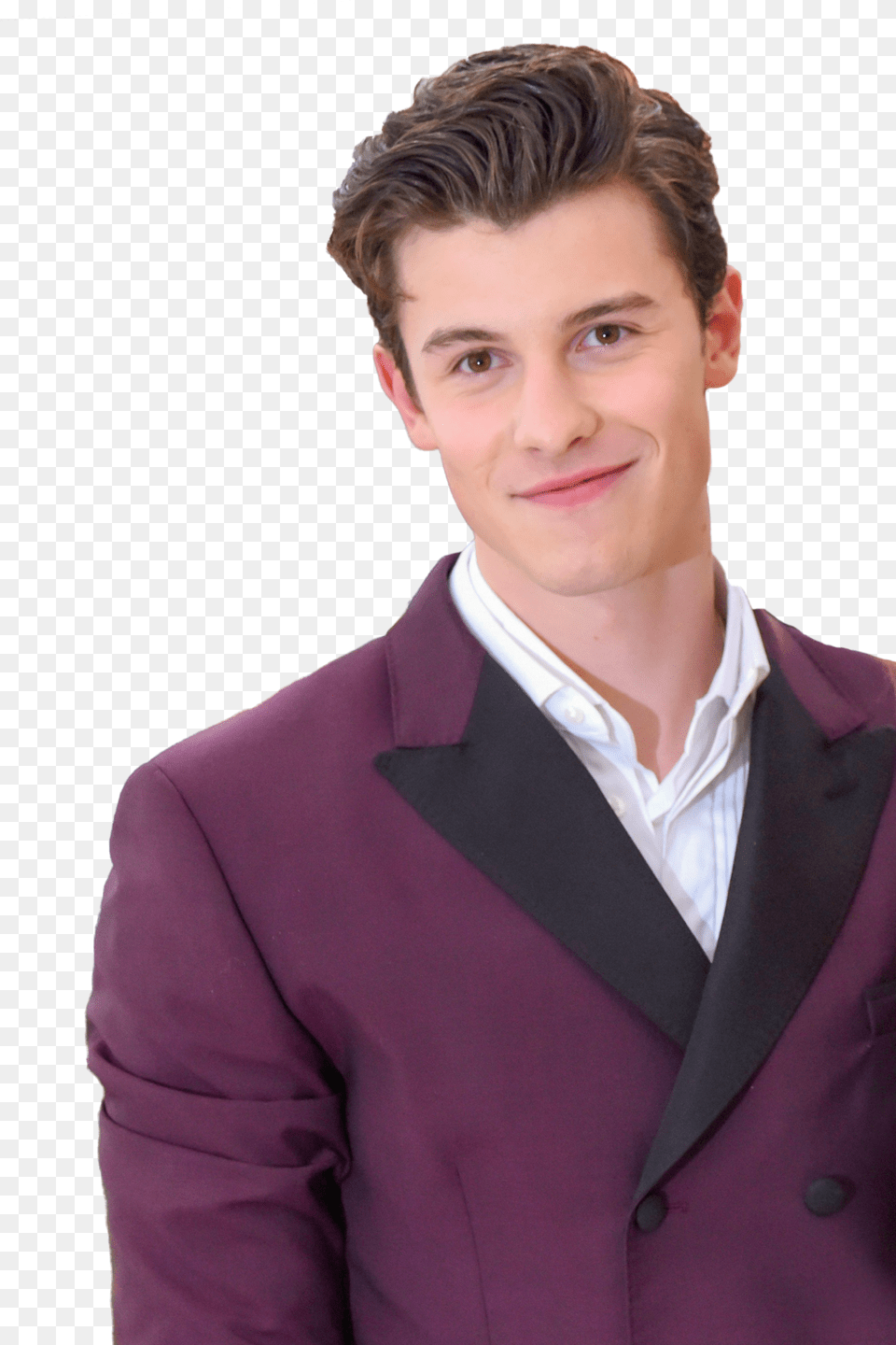 Shawn Mendes Fanblog Shawn Mendes Met Gala Alone, Tuxedo, Suit, Jacket, Formal Wear Png Image