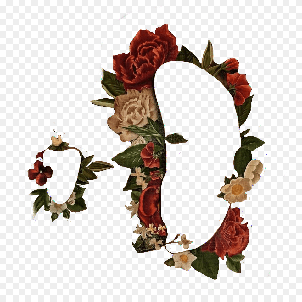 Shawn Mendes Flower Face, Graphics, Floral Design, Art, Pattern Png