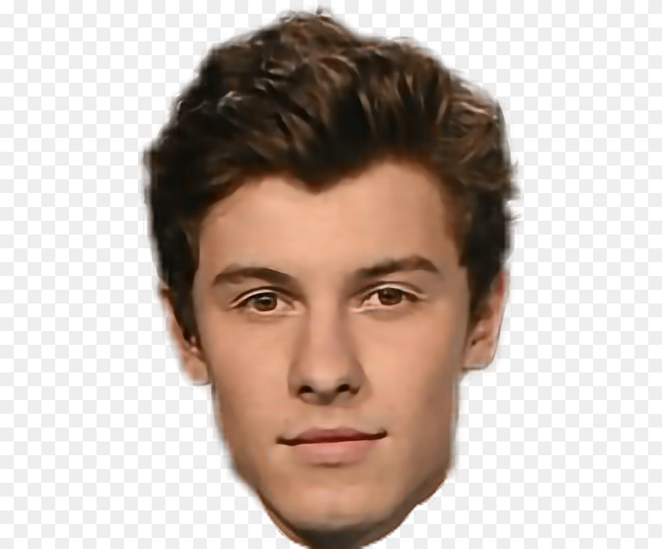 Shawn Mendes Head Download Shawn Mendes Head, Adult, Face, Male, Man Free Transparent Png