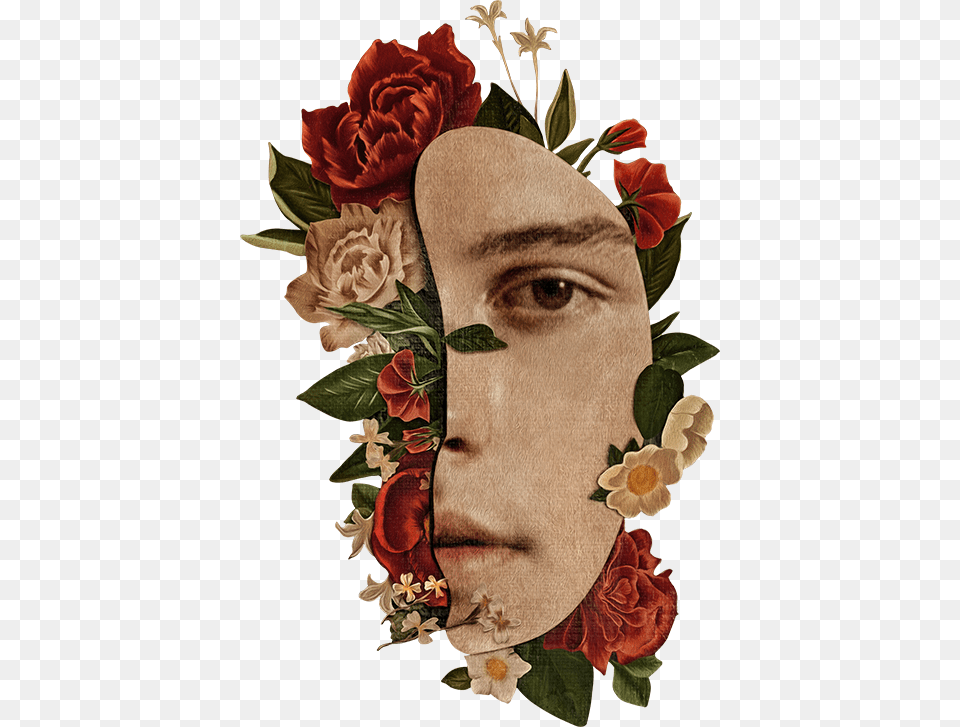 Shawn Mendes Shawn Mendes Nowy Album, Art, Plant, Rose, Graphics Png Image