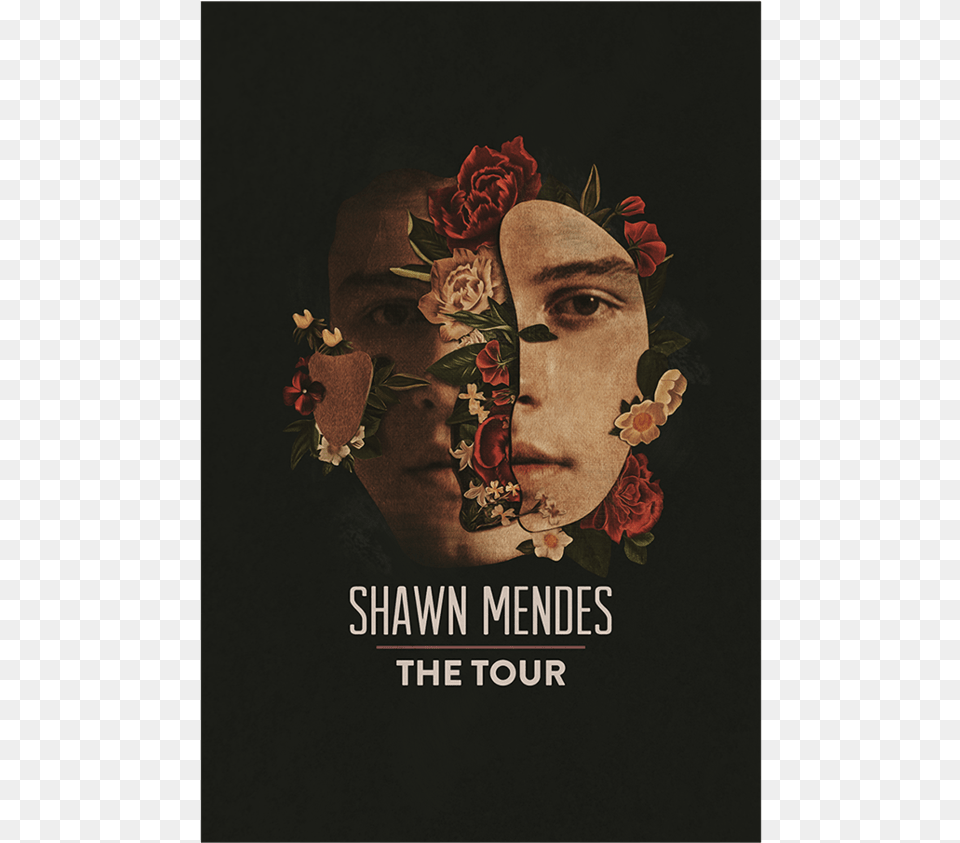 Shawn Mendes The Tour Poster, Advertisement, Book, Publication, Adult Free Png