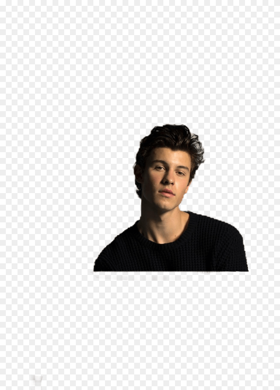 Shawnmendes Mendesarmy Shawn Mendes Inmyblood Shawn Mendes, Smile, Portrait, Photography, Face Png