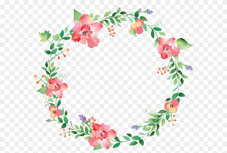 She Believed She Could But She Blacked Out And Didn, Flower, Plant, Art, Floral Design Free Transparent Png
