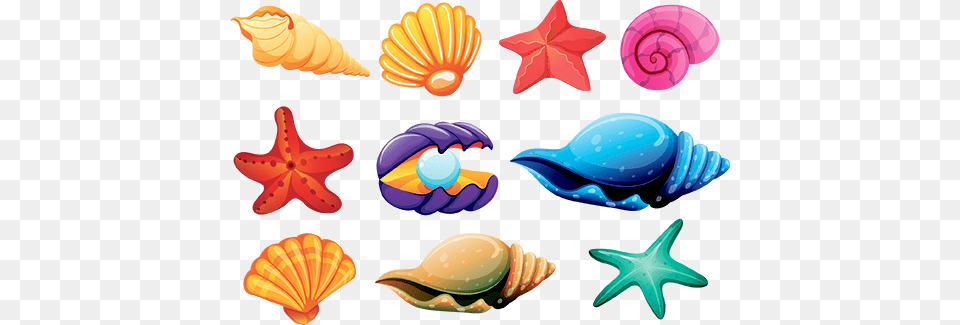 She Sells Seashells, Art, Graphics, Baby, Person Png Image