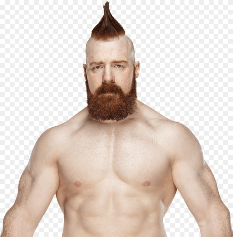 Sheamus 2018 Sheamus Wwe Champion, Adult, Beard, Face, Head Png Image