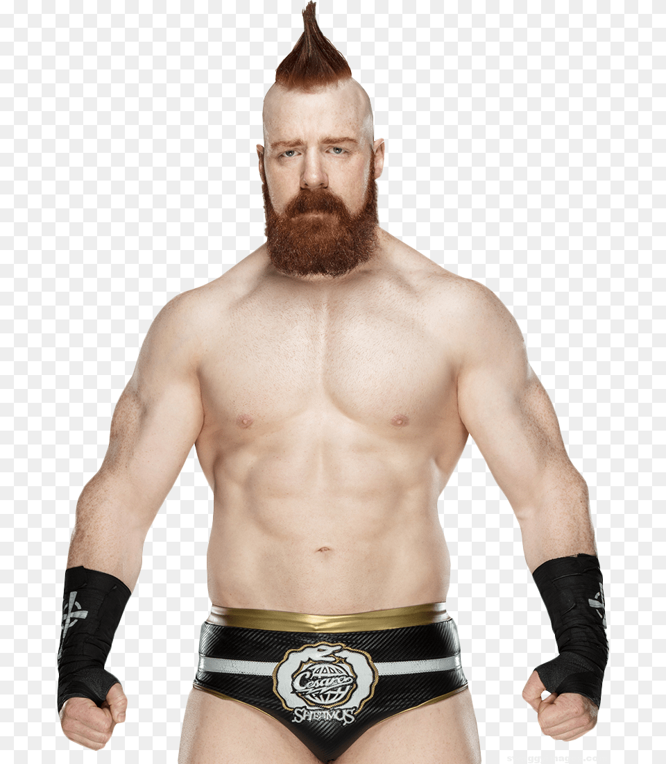 Sheamus Abs Wwe Sheamus Render 2018, Adult, Person, Man, Male Free Transparent Png
