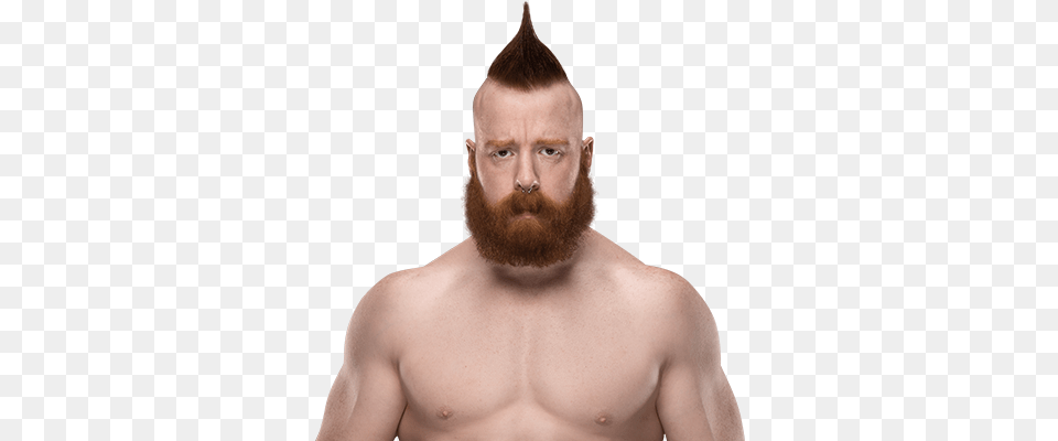 Sheamus Hellfire Wwe Theme Song Download Patrick Cummins, Adult, Beard, Face, Head Free Png