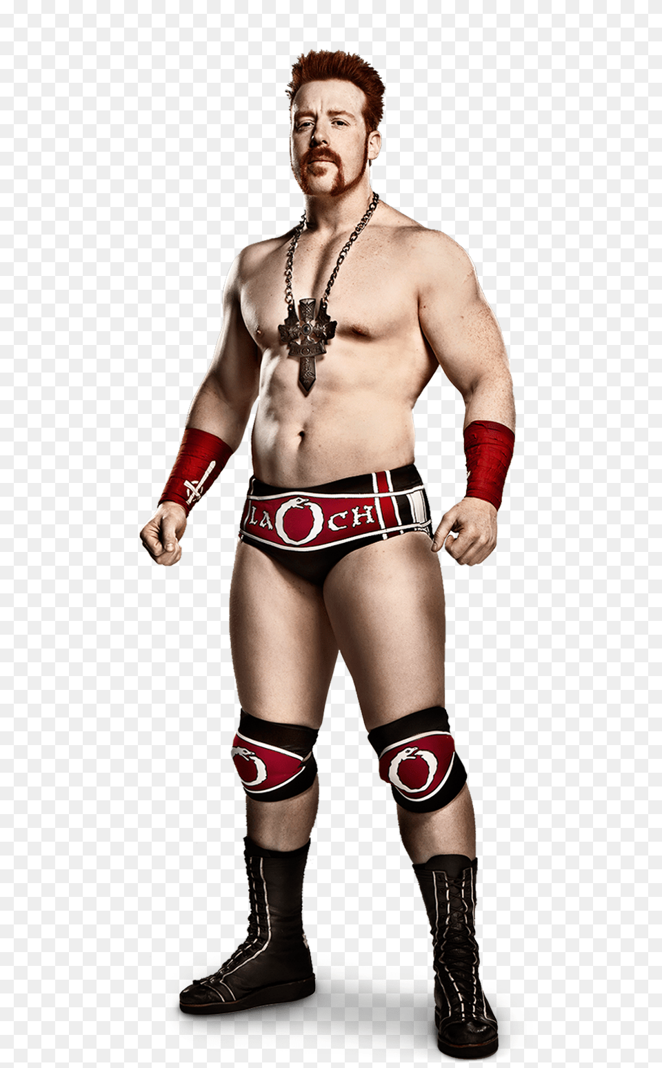 Sheamus Render, Adult, Person, Man, Male Png