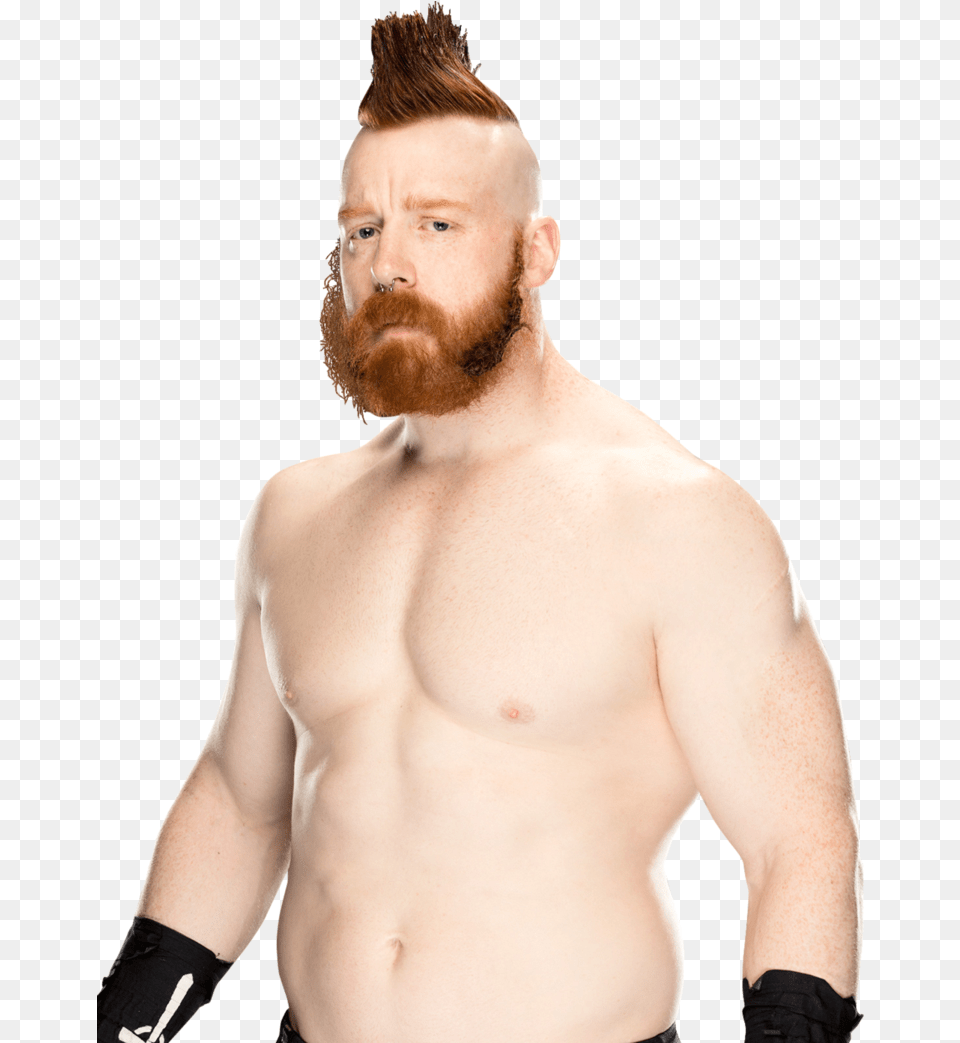 Sheamus Transparent Image Sheamus, Adult, Beard, Face, Head Free Png Download