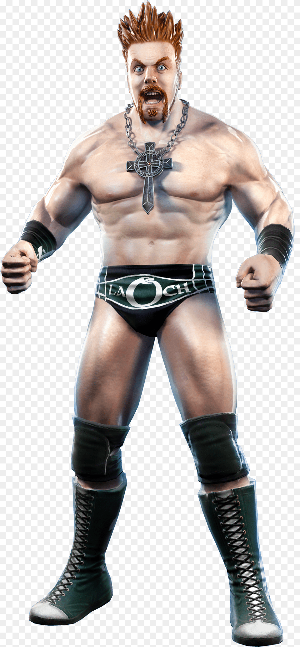 Sheamus Wwe All Stars Sheamus, Man, Adult, Male, Person Free Transparent Png