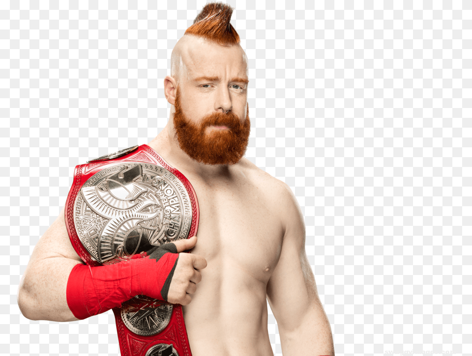 Sheamus Wwe World Tag Team Champion Cesaro And Sheamus Tag Team Champions, Beard, Face, Head, Person Png Image