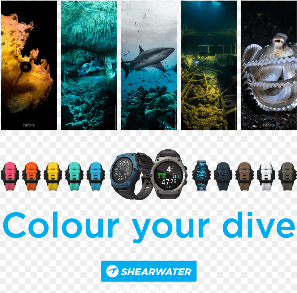 Shearwater Teric Colours, Wristwatch, Aquatic, Water, Shark Free Png Download