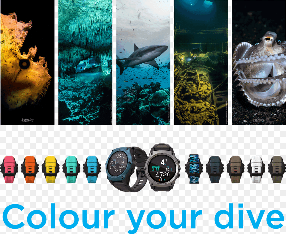 Shearwater Teric Pgn, Wristwatch, Shark, Sea Life, Fish Free Transparent Png
