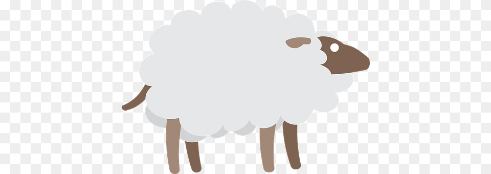 Sheep Livestock, Animal, Person, Mammal Png Image