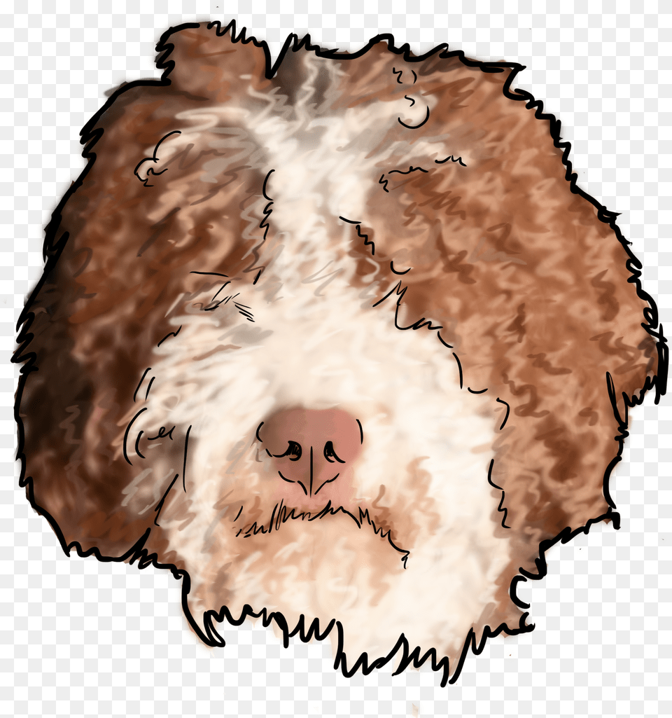 Sheep Png