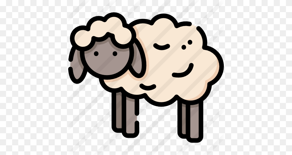 Sheep, Body Part, Hand, Person, Livestock Free Png Download