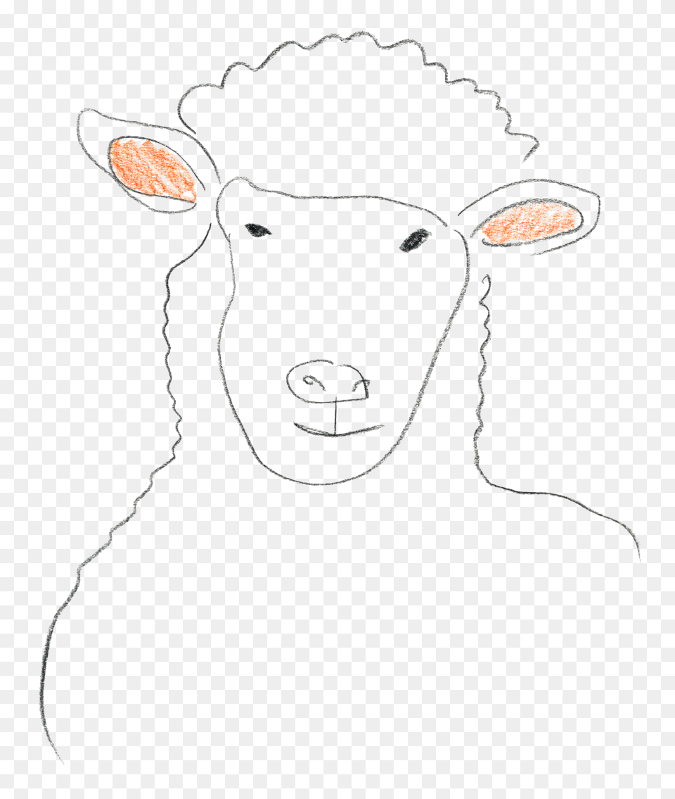 Sheep, Livestock, Person, Animal, Mammal Free Transparent Png