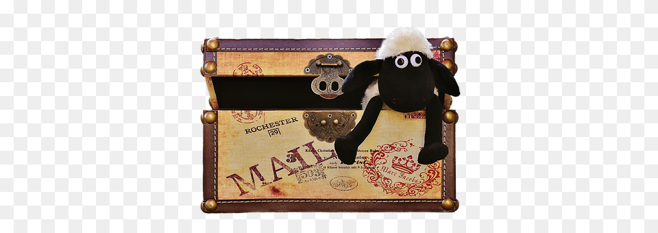 Sheep Treasure, Box, Teddy Bear, Toy Png