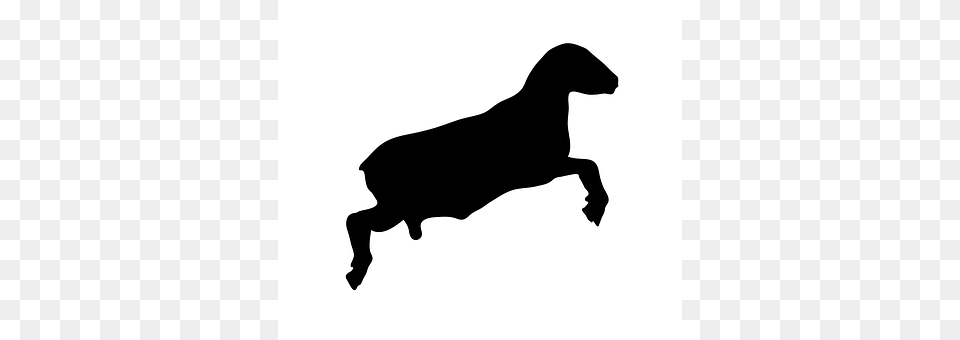 Sheep Silhouette, Animal, Kangaroo, Mammal Free Png Download