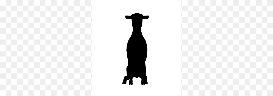Sheep Silhouette, Livestock, Animal, Mammal Png